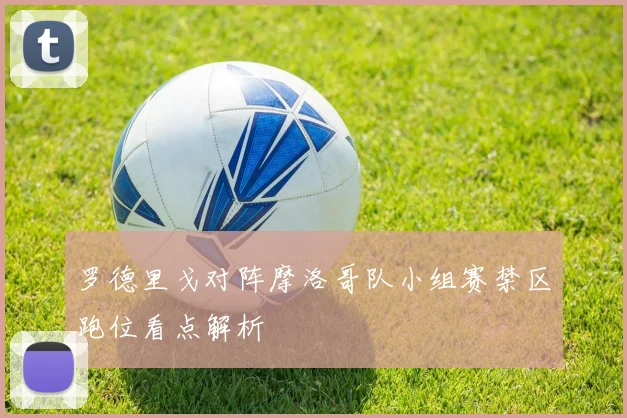 罗德里戈对阵摩洛哥队小组赛禁区跑位看点解析