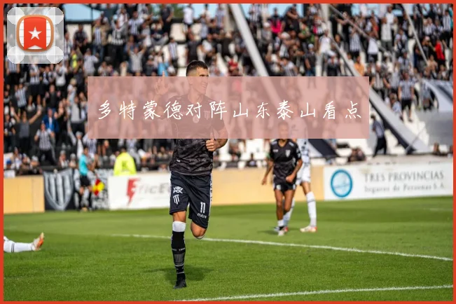 多特蒙德对阵山东泰山看点