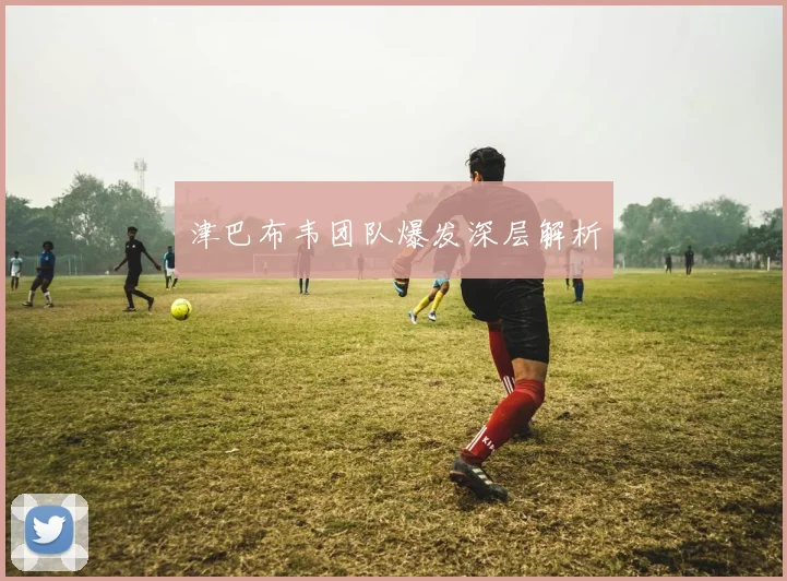 津巴布韦团队爆发深层解析