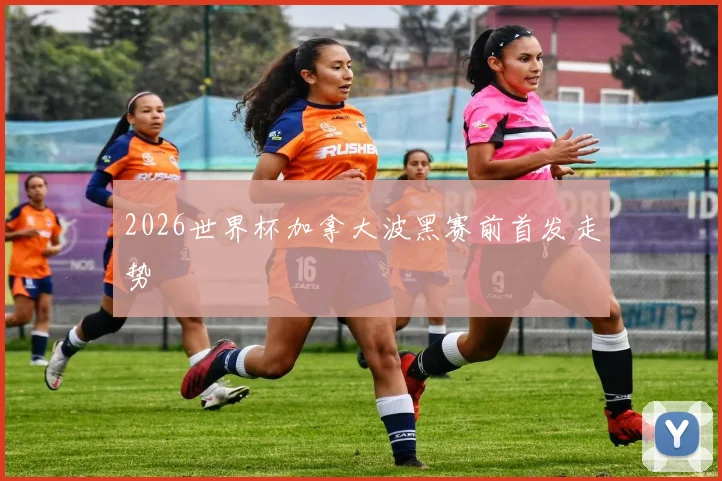 2026世界杯加拿大波黑赛前首发走势