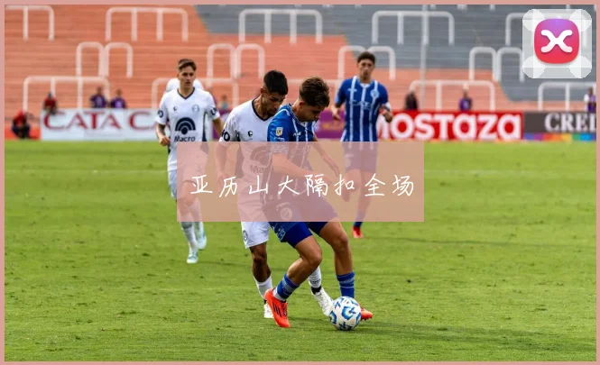 亚历山大隔扣全场